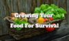 Food for Survival: Essential Tips and Practices for Growth