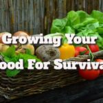 Food for Survival: Essential Tips and Practices for Growth