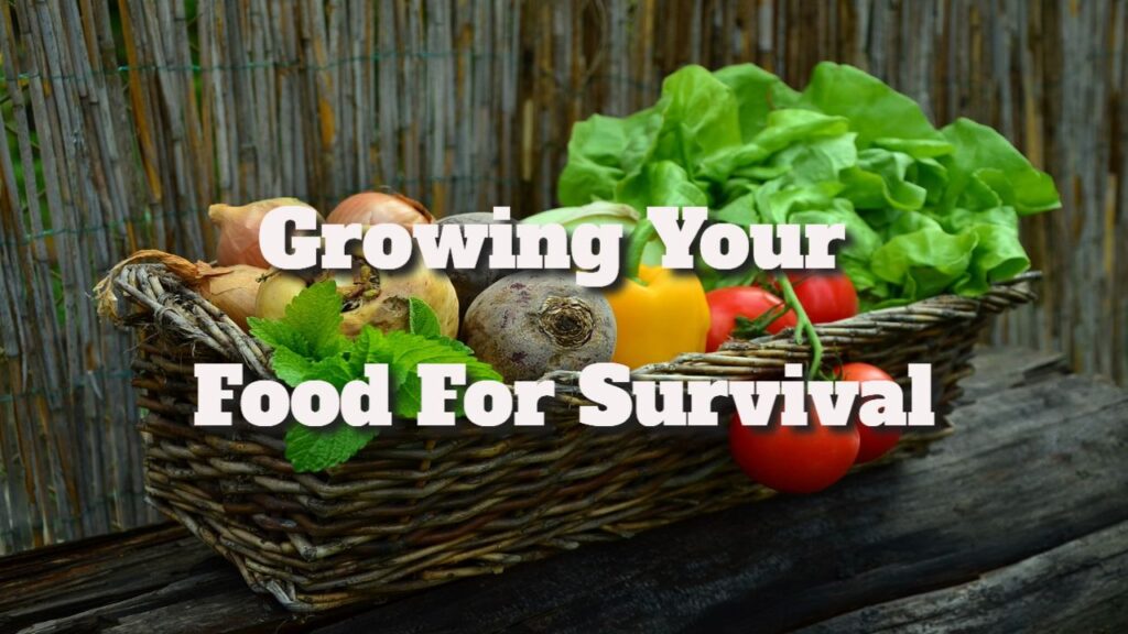 Food for Survival: Essential Tips and Practices for Growth