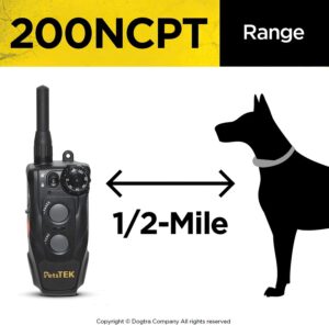 61Rk-Vr3p7L._AC_SL1500_-300x296 Dogtra 200NCPT Electronic Dog Training Collar