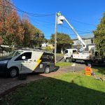 Power Poles: Key Insights for Property Owners in Melbourne