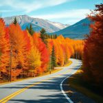 Fall Foliage Scenic Drives Across the U.S.