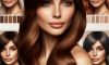 Brunette Hair’s Stunning Allure Revealed