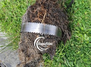 Vac Trucks: Clearing Tree Roots from Blocked Drains