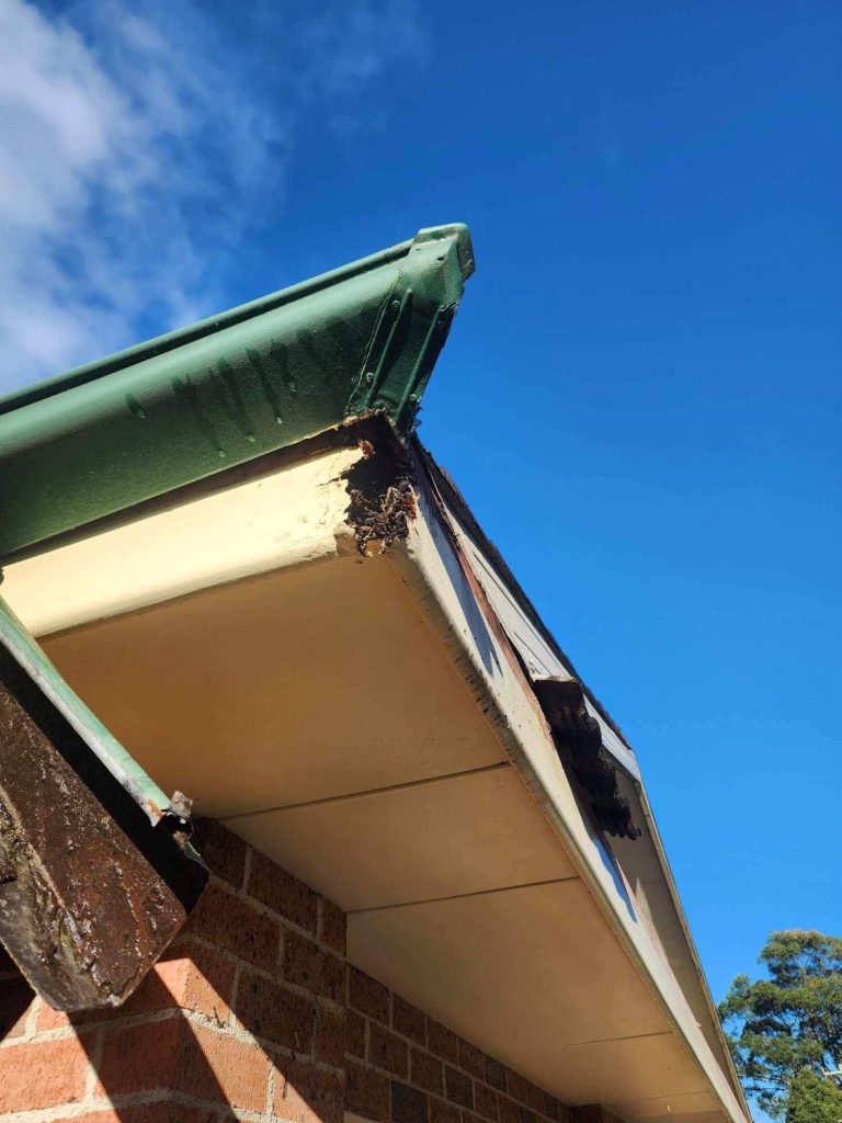 replace fascia boards