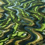 Bellville Golf Club: Your Ideal Golfing Destination
