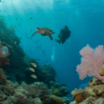 Belize Barrier Reef: Ultimate 2025 Diving and Snorkeling Guide