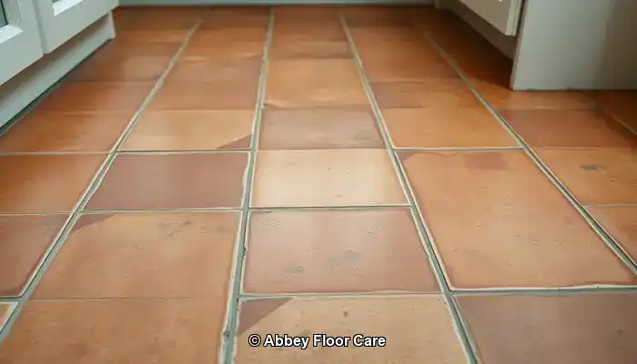 What Contributes to Rapid Dirt Build-Up on Terracotta?
