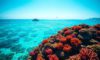 Belize Travel Guide: Essential Information and Tips