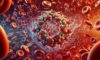 Ferritin Blood Test: Essential Insights for Torquay Residents